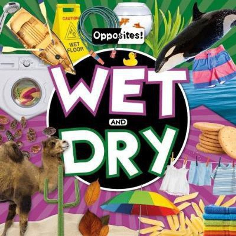 Wet and Dry  (English, Hardcover, Dufresne Emilie)