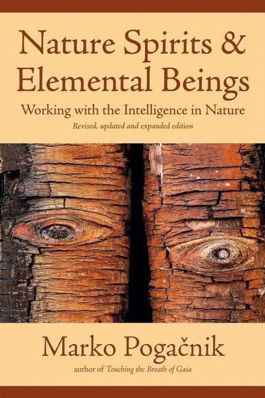 Nature Spirits & Elemental Beings  (English, Paperback, Pogacnik Marko)