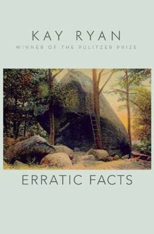Erratic Facts  (English, Paperback, Ryan Kay)