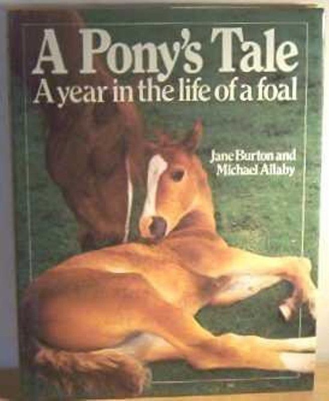 A Pony's Tale  (English, Hardcover, Allaby Michael)