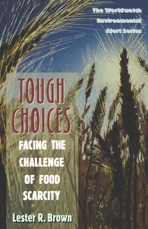 Tough Choices  (English, Paperback, Brown Lester R.)