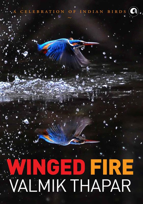 Winged Fire: A Celebration of Indian Birds  (English, Hardcover, Valmik Thapar)