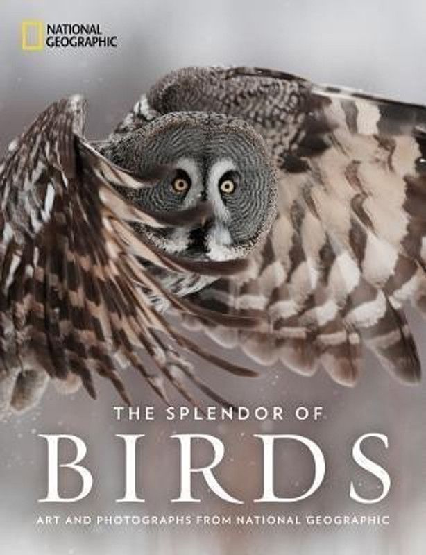 The Splendor of Birds  (English, Hardcover, National Geographic)