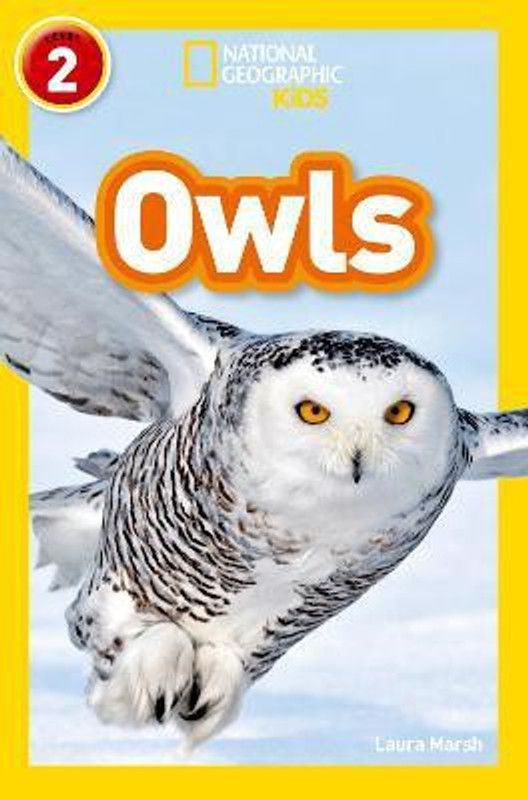 Owls  (English, Paperback, Marsh Laura)