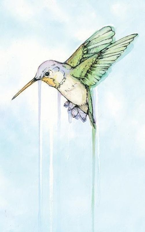 Hummingbird  (English, Paperback, Angelini Jude)