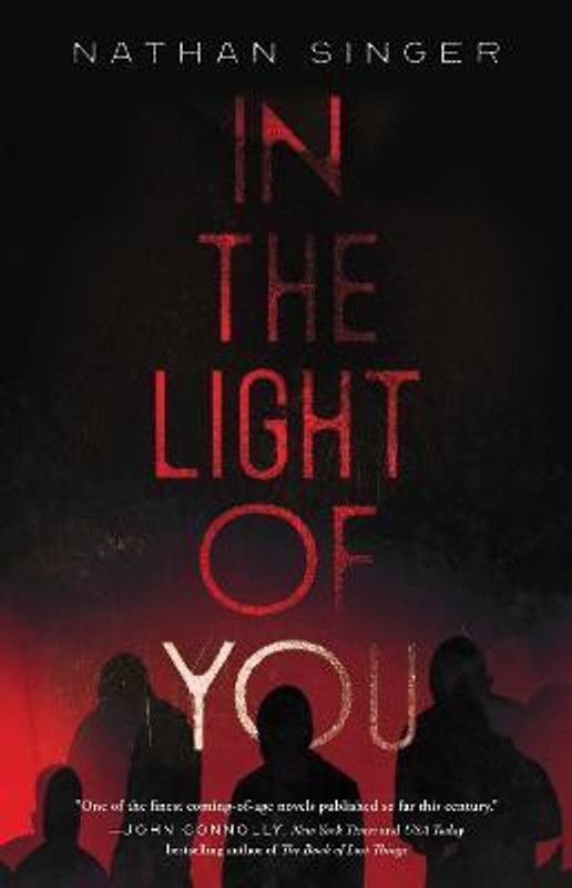 In the Light of You  (English, Paperback, Singer Nathan)