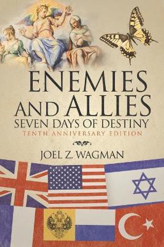 Enemies and Allies  (English, Paperback, Wagman Joel Z)