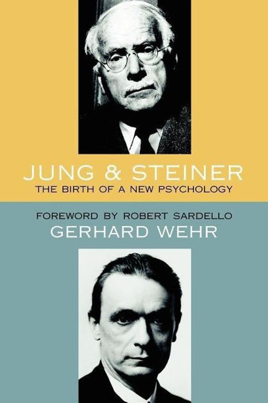 Jung and Steiner  (English, Paperback, Wehr Gerhard)