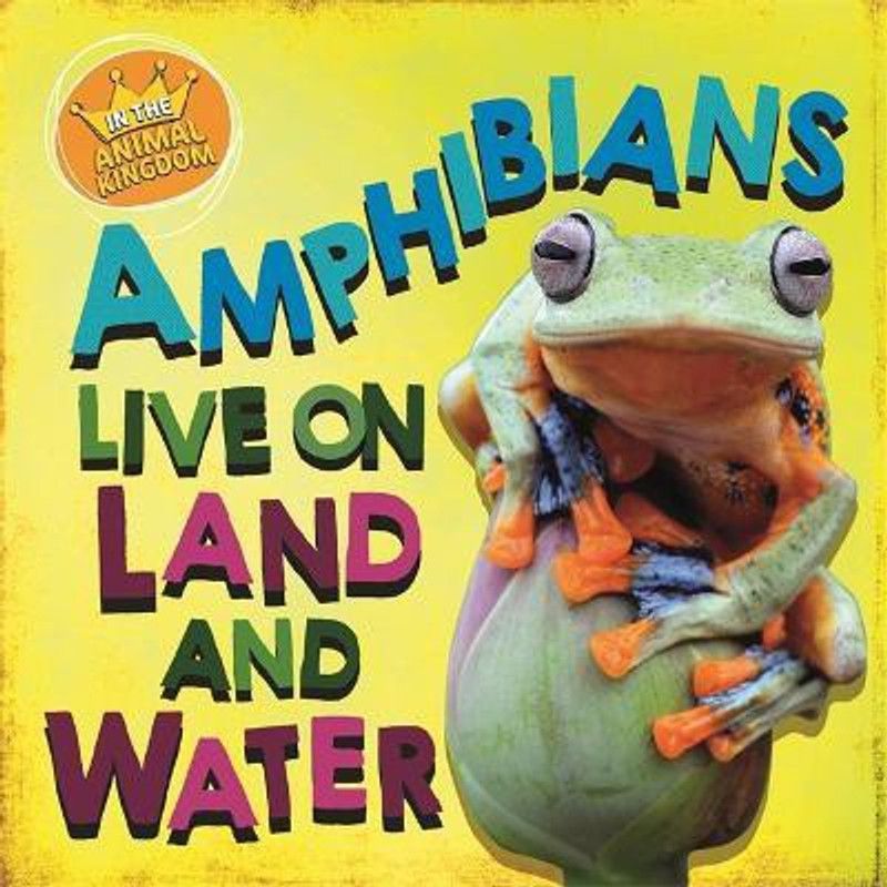 In the Animal Kingdom: Amphibians Live on Land and in Water  (English, Paperback, Ridley Sarah)