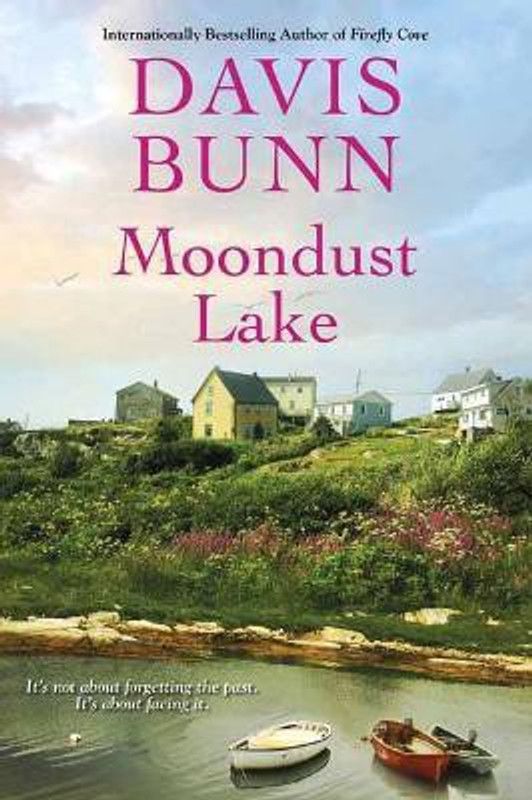 Moondust Lake  (English, Paperback, Bunn Davis)