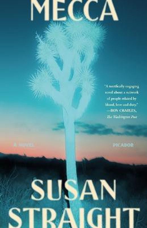 Mecca  (English, Paperback, Straight Susan)