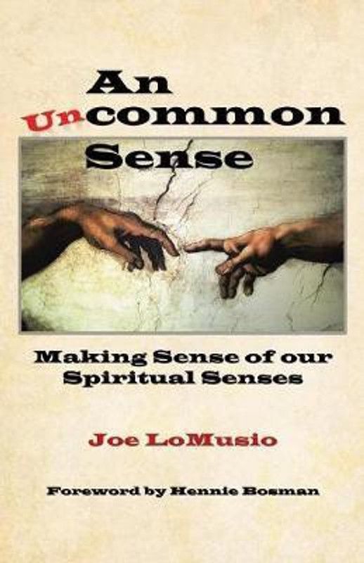 An Uncommon Sense  (English, Paperback, Lomusio Joe)