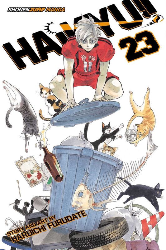 Haikyu!!, Vol. 23  (English, Paperback, Furudate Haruichi)
