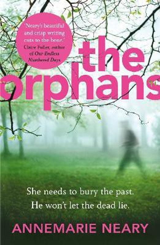 The Orphans  (English, Paperback, Neary Annemarie)