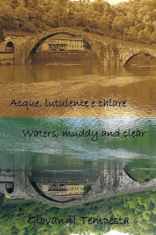 Acque, Lutulente E Chiare Waters, Muddy and Clear  (English, Paperback, Tempesta Giovanni)