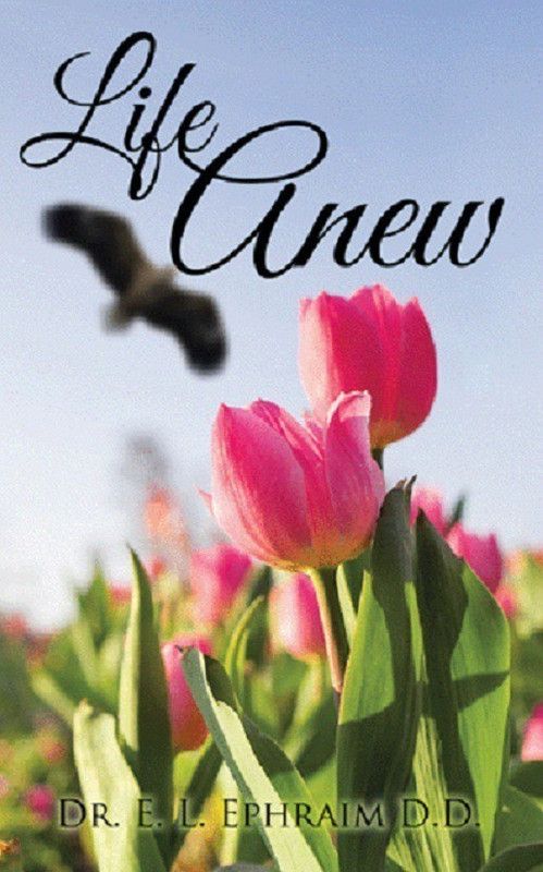 Life Anew  (English, Paperback, Ephraim D D E L Dr)