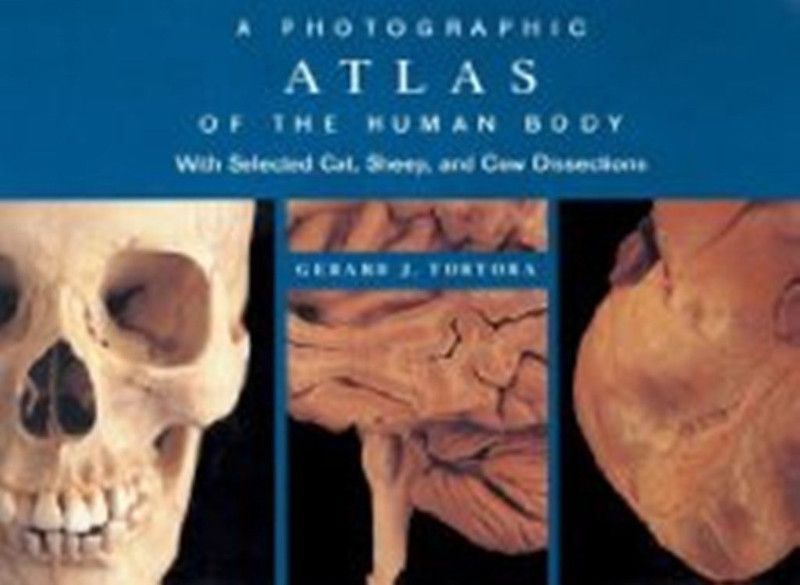 A Photographic Atlas of the Human Body: With Selected Cat, Sheep and Cow Dissections  (English, Paperback, Tortora Gerard J.)