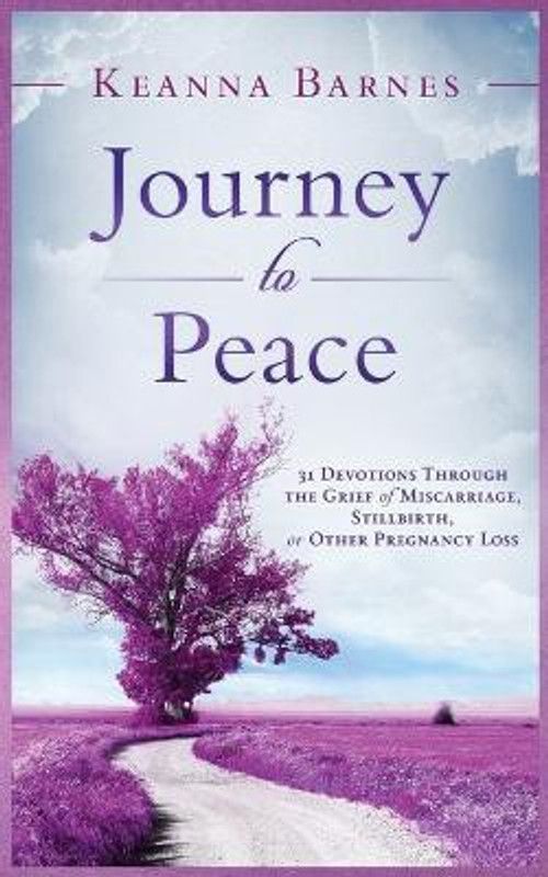 Journey to Peace  (English, Paperback, Barnes Keanna)