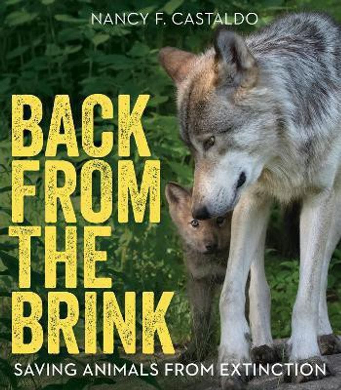 Back from the Brink  (English, Paperback, Castaldo Nancy F.)