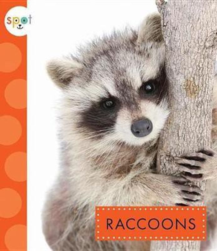 Raccoons  (English, Paperback, Storm Marysa)