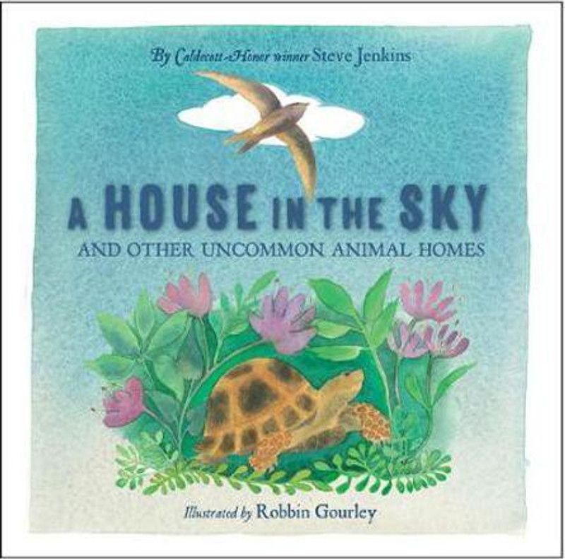 A House in the Sky  (English, Paperback, Jenkins Steve)