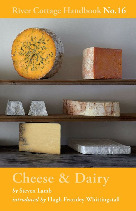 Cheese & Dairy  (English, Hardcover, Lamb Steven)