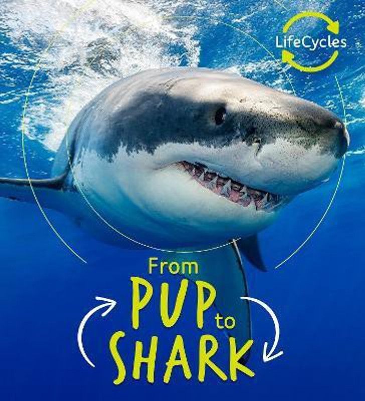 Lifecycles - Pup To Shark  (English, Paperback, de la Bedoyere Camilla)