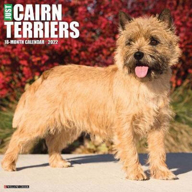 Just Cairn Terriers 2022 Wall Calendar (Dog Breed)  (English, Calendar, Willow Creek Press)