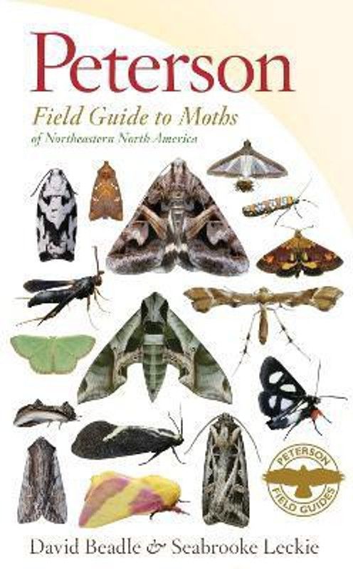Peterson Field Guide To Moths Of Northeastern North America  (English, Paperback, Beadle David)