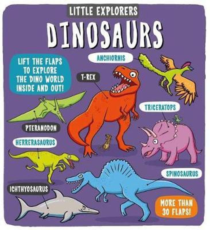 Little Explorers: Dinosaurs  (English, Hardcover, Little Bee Books)