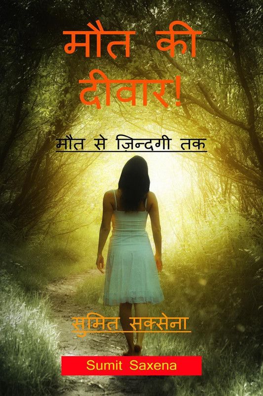 Maut ki Diwar / मौत की दीवार !  (Hindi, Paperback, Sumit Saxena)