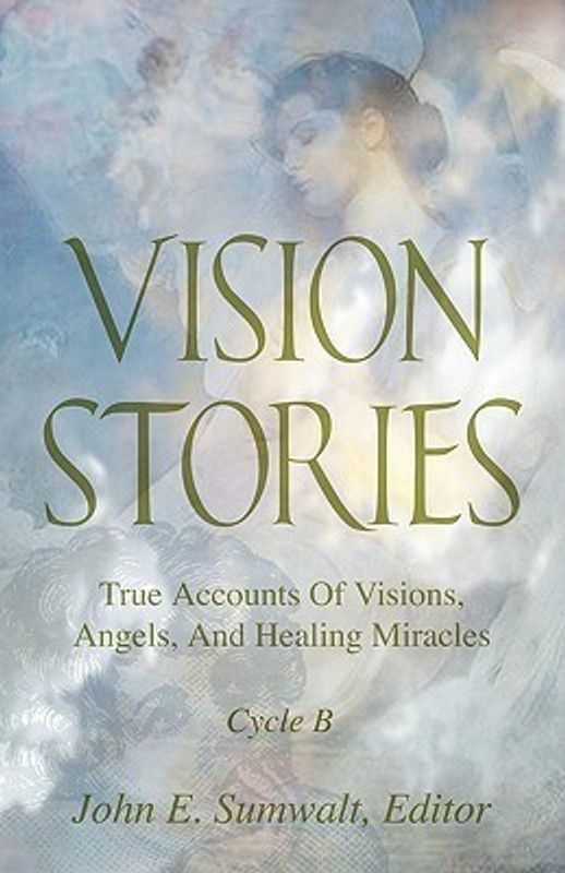 Vision Stories, Cycle B  (English, Paperback, Sumwalt John E)