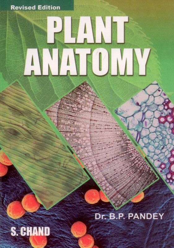 Plant Anatomy  (English, Paperback, Pandey B. P.)