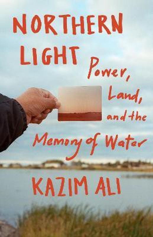 Northern Light  (English, Paperback, Ali Kazim)
