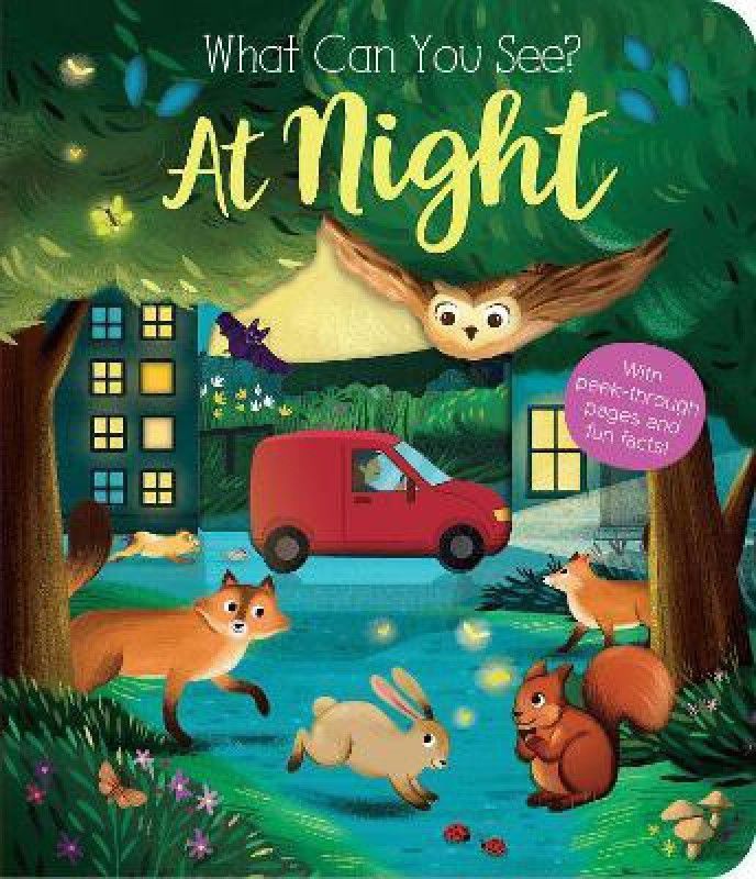 What Can You See? At Night  (English, Board book, Ware Kate)
