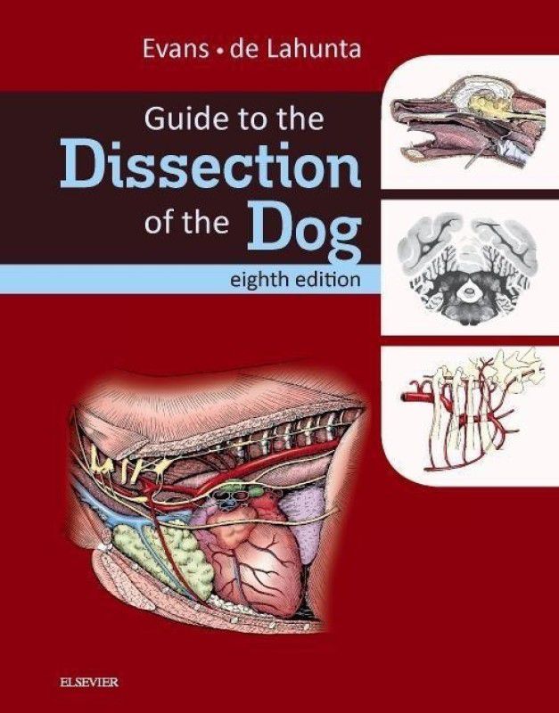 Guide to the Dissection of the Dog  (English, Hardcover, Evans Howard E. PhD)