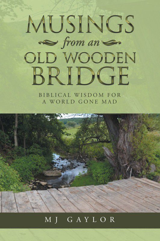 Musings from an Old Wooden Bridge  (English, Paperback, Gaylor Mj)