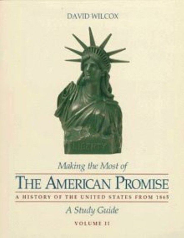 American Promise  (English, Paperback, Johnson Michael P University)