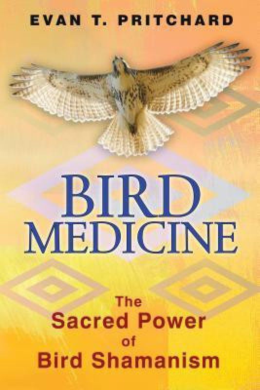 Bird Medicine  (English, Paperback, Pritchard Evan T.)