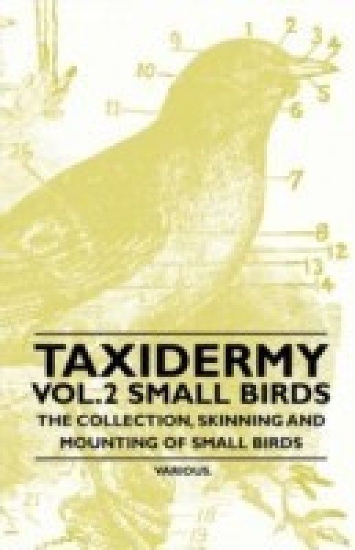 Taxidermy Vol.2 Small Birds - The Collection, Skinning and Mounting of Small Birds  (English, Paperback, Various)