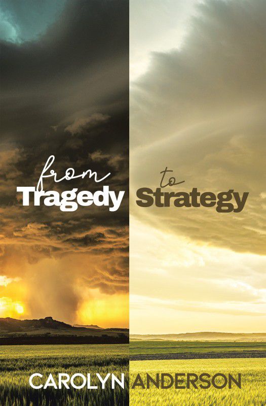 From Tragedy to Strategy  (English, Hardcover, Anderson Carolyn)