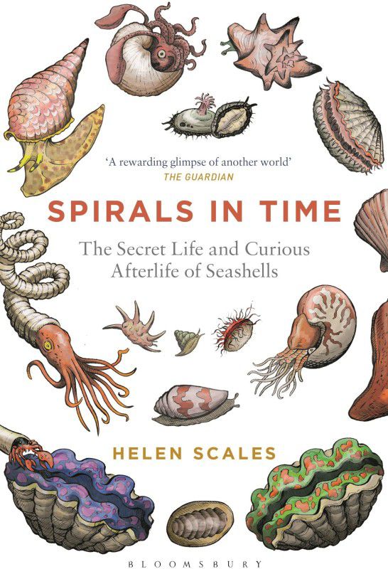 Spirals in Time  (English, Paperback, Scales Helen)
