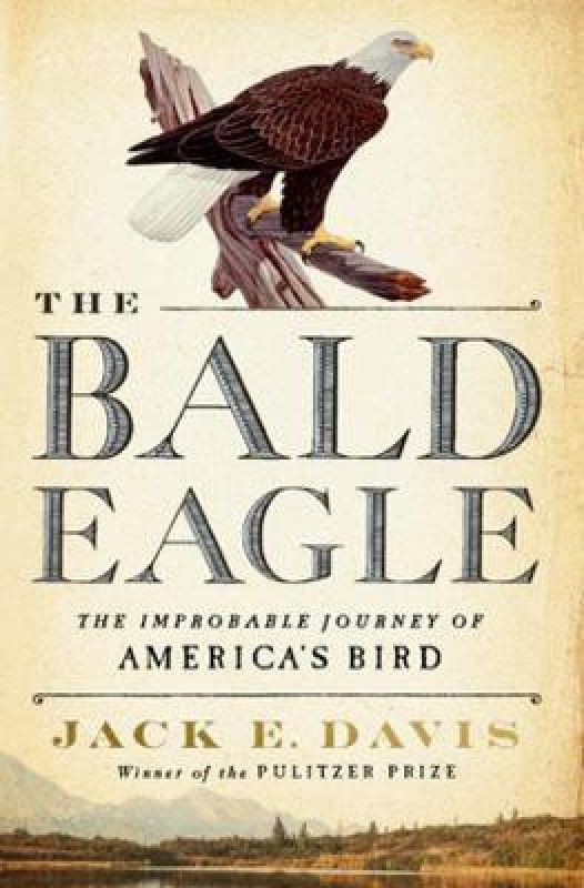 The Bald Eagle  (English, Hardcover, Davis Jack E.)