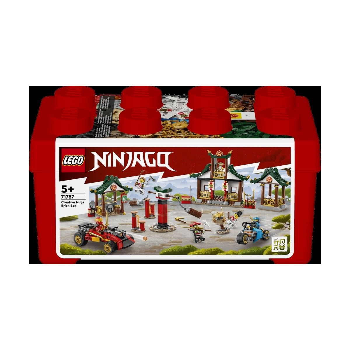 LEGO NINJAGO Creative Ninja Brick Box 71787