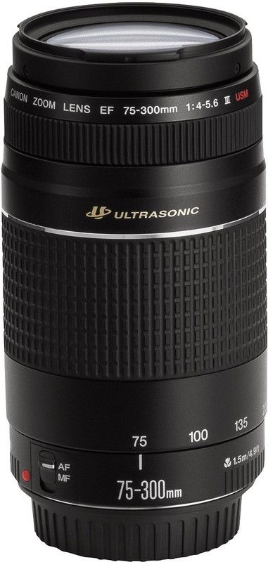 Canon EF 75 - 300 mm f/4-5.6 III Telephoto Zoom Lens  (Black)