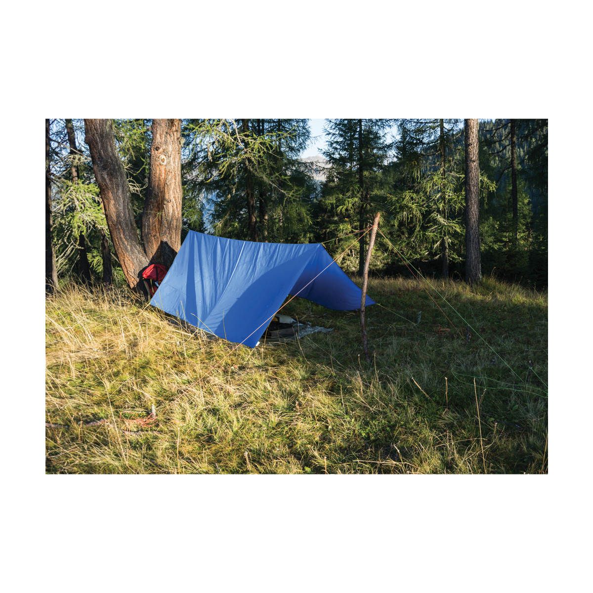 6' X 8' Tarp
