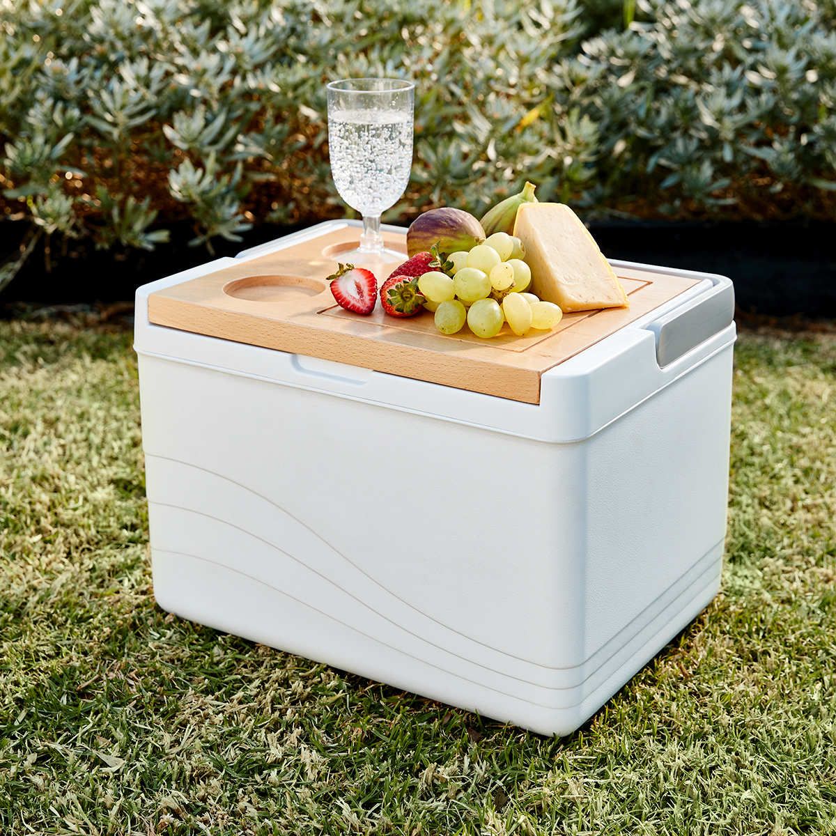 11L Picnic Cooler