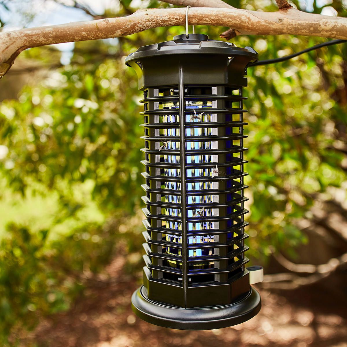 Mosquito Zapper