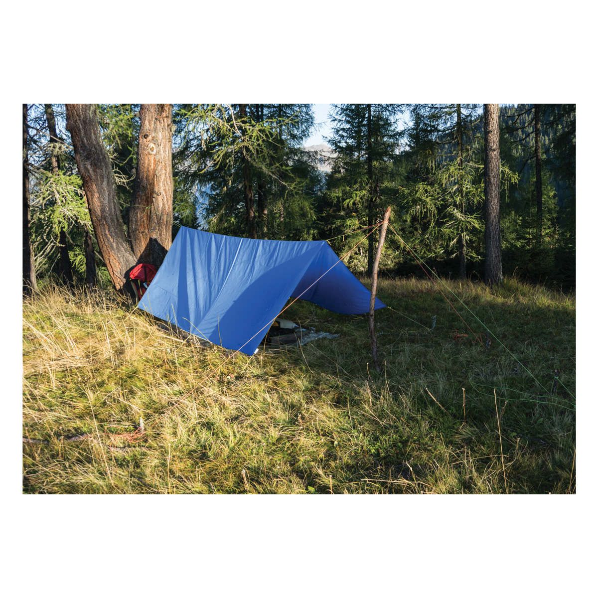 4' X 6' Tarp