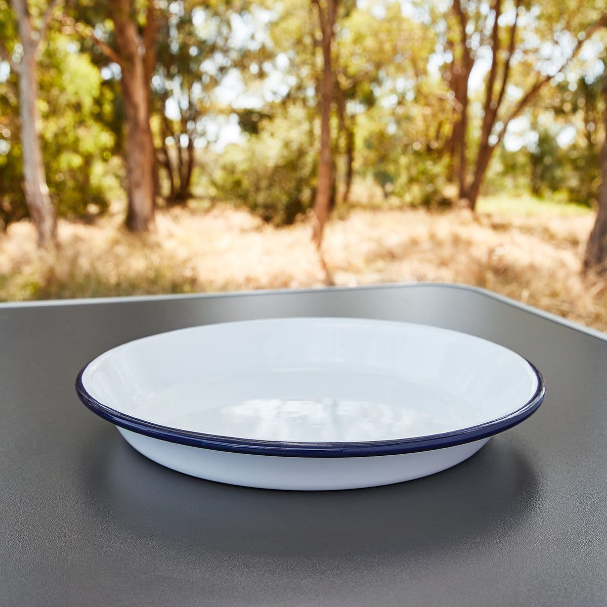 25cm Enamel Plate